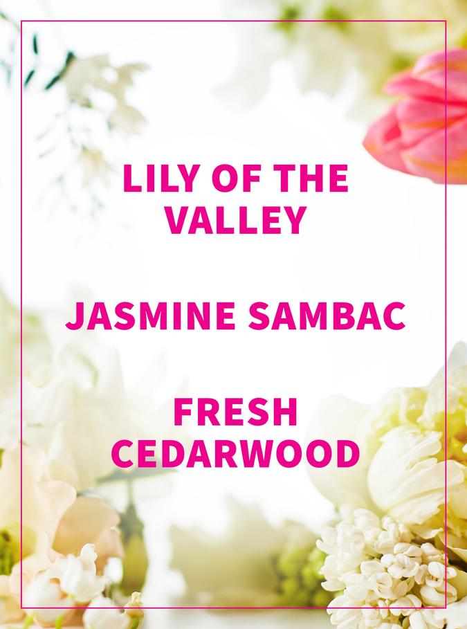 Bath & Body Works Brightest Bloom Gentle & Clean Foaming Hand Soap, 259 ml / 8.75 fl oz