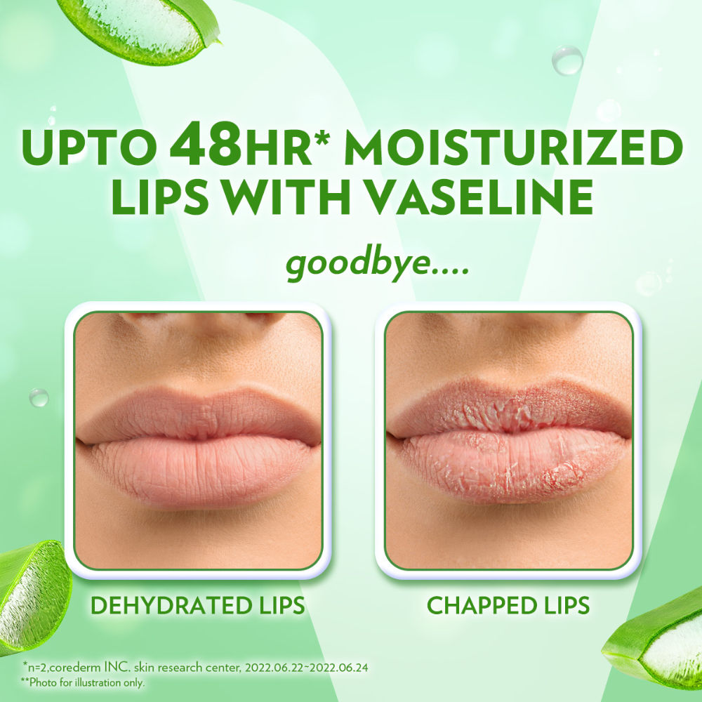 Vaseline Lip Care Lip Balm Stick - Aloe Vera, 4.8g Buy at Indicrest Image 5