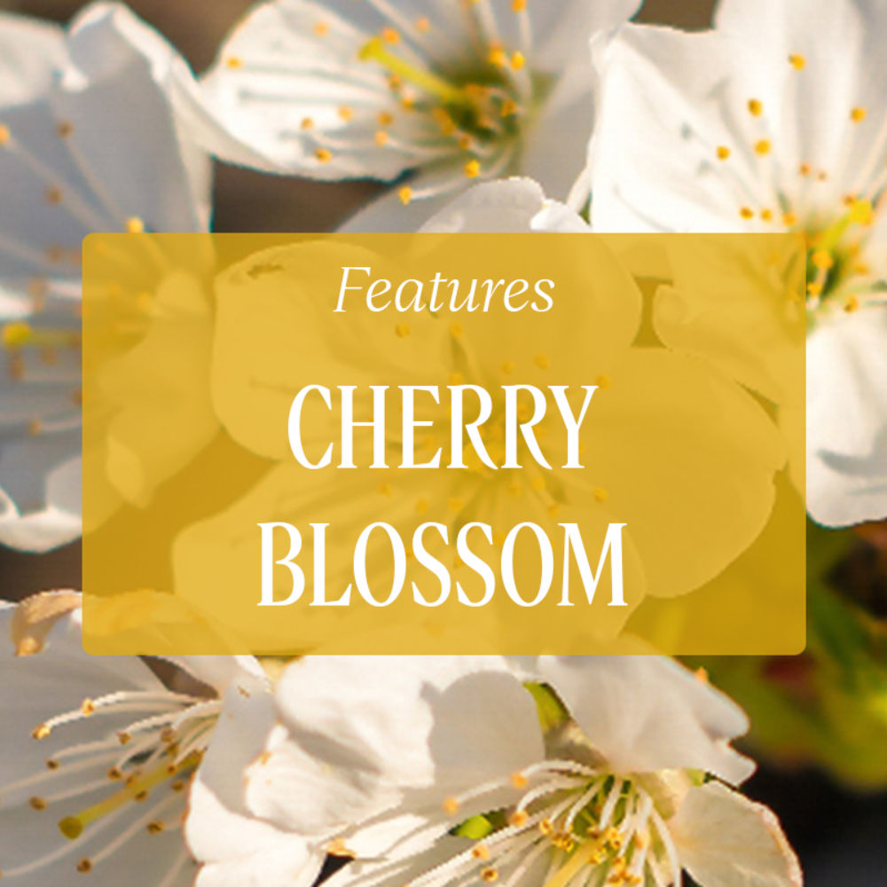 L'Occitane Fleurs de Cerisier, Cherry Blossom Hand Cream, 30ml