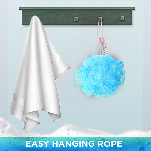 Vega Aqua Delight Sponge - BA-3/29