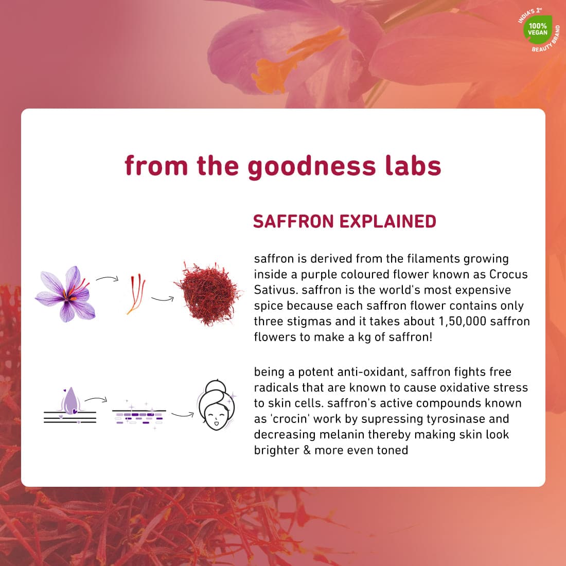 Plum Saffron & Kumkumadi Oil Glow Bright Moisturizer with SPF 35 | Enhances Glow | Brightens Skin, 50g x 2