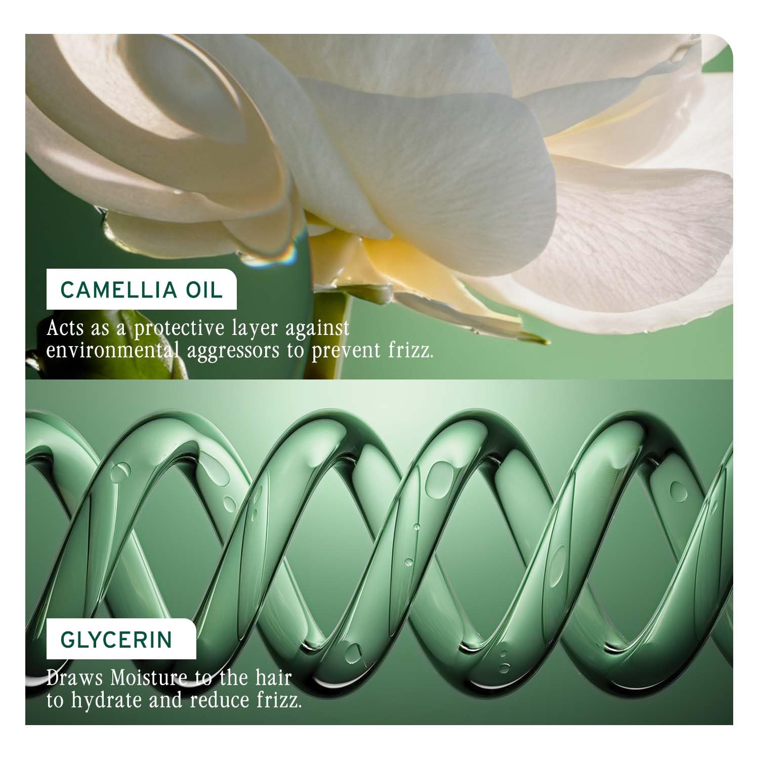 Matrix Biolage Smoothproof Camellia Shampoo - Smooth Frizzy Hair, 200ml Buy at Indicrest Image 5