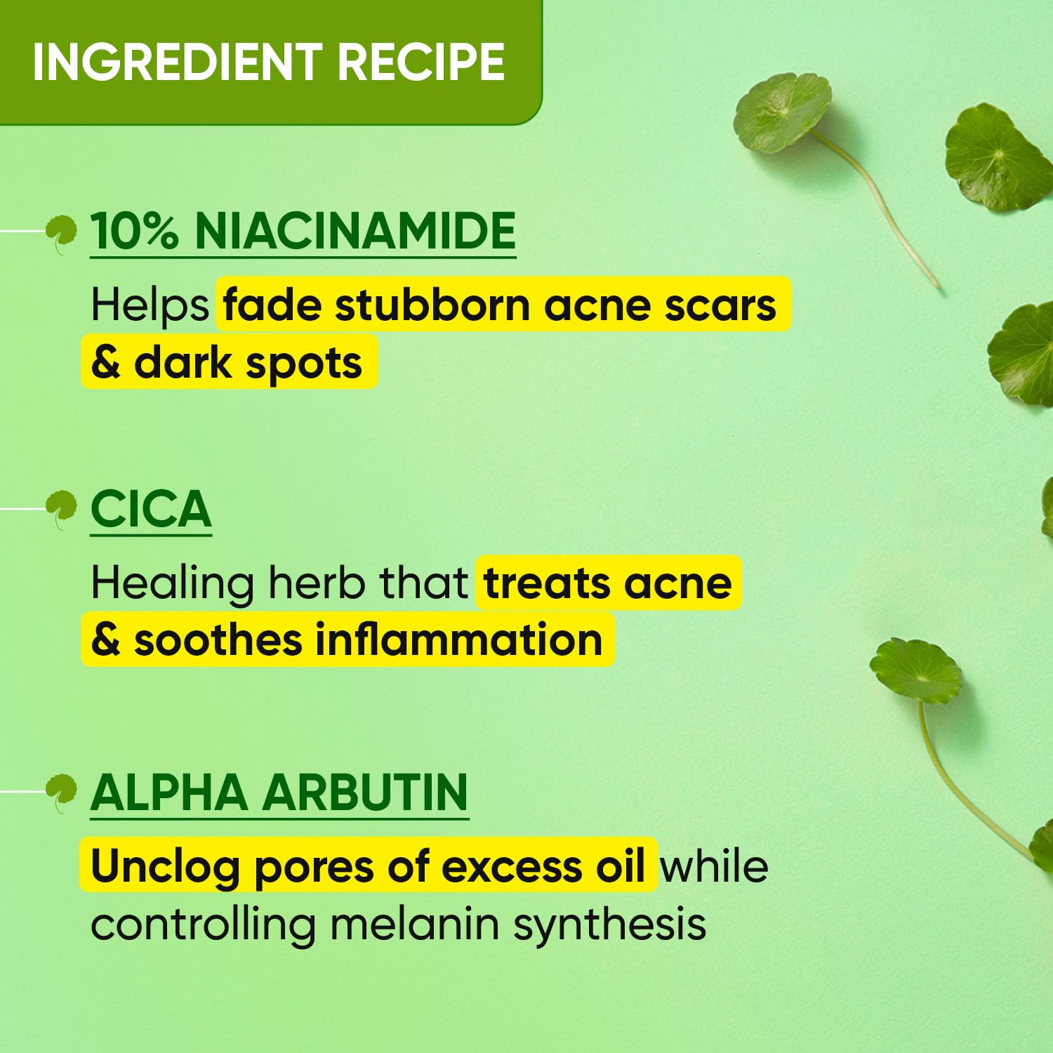 Dot & Key Cica + 10% Niacinamide Face Serum for Oily Skin, 20ml