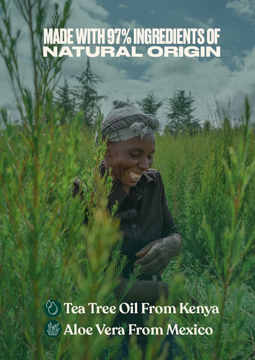 The Body Shop Tea Tree Purifying & Balancing Conditioner, 250ml