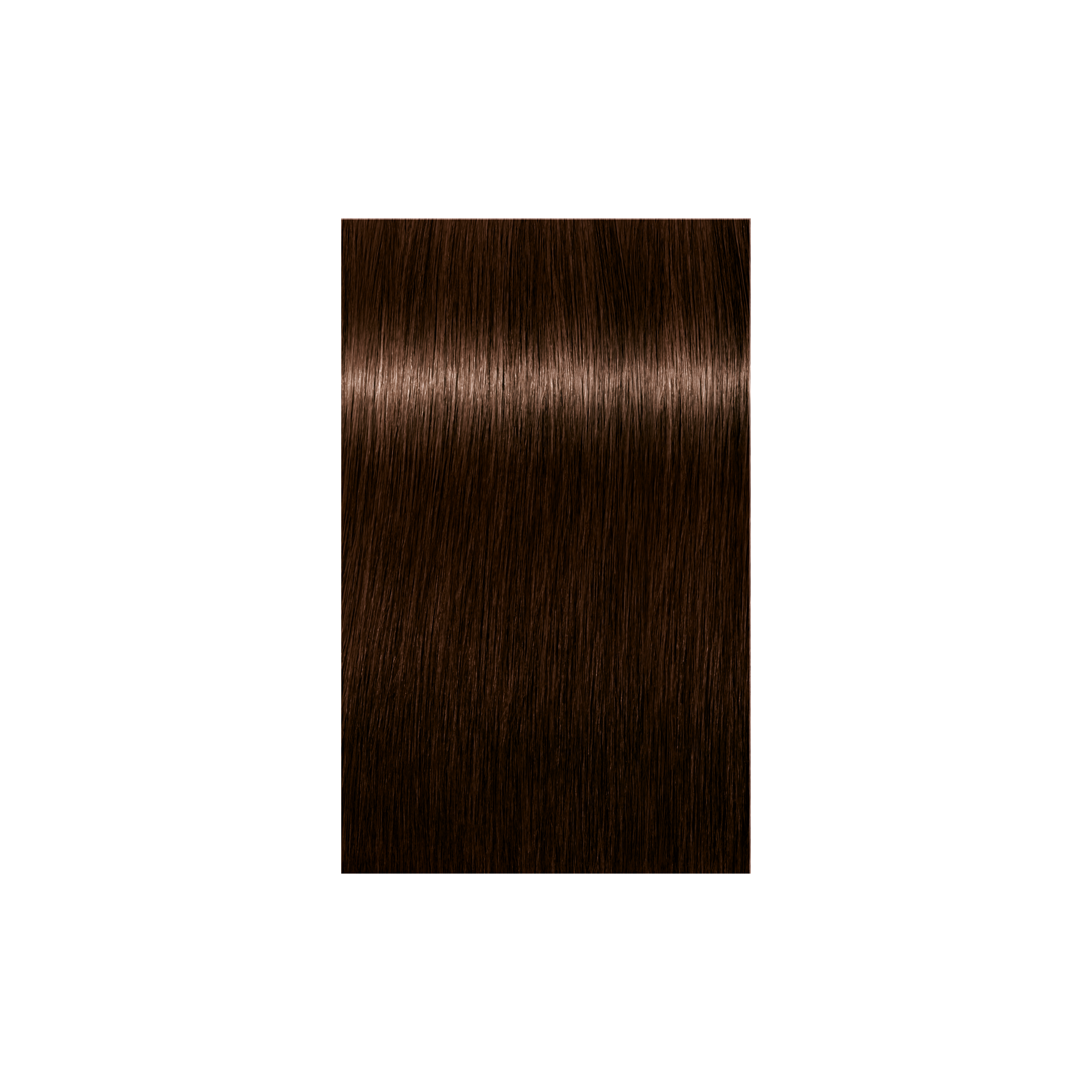 Schwarzkopf Professional Igora Royal Absolutes 4-60 Medium Brown Chocolate Natural, 60ml