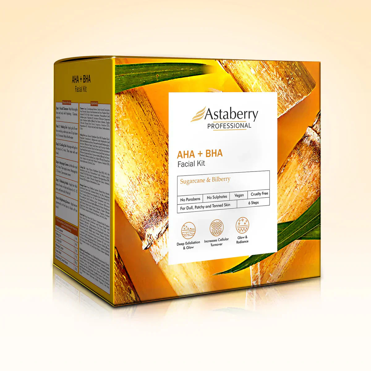 Astaberry Professional AHA-BHA Facial Kit (432g) - Indicrest