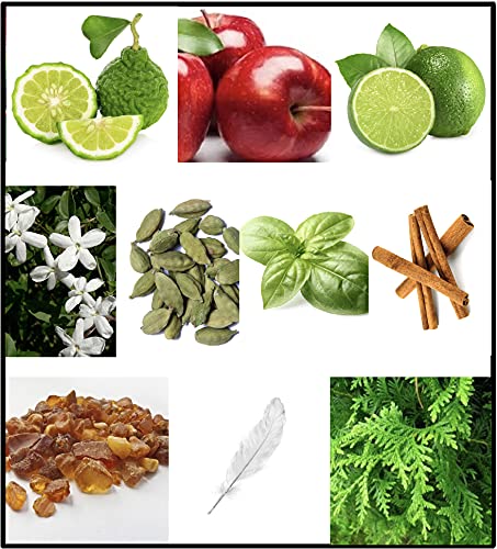 Buy Fila Black Eau De Toilette 100 ml