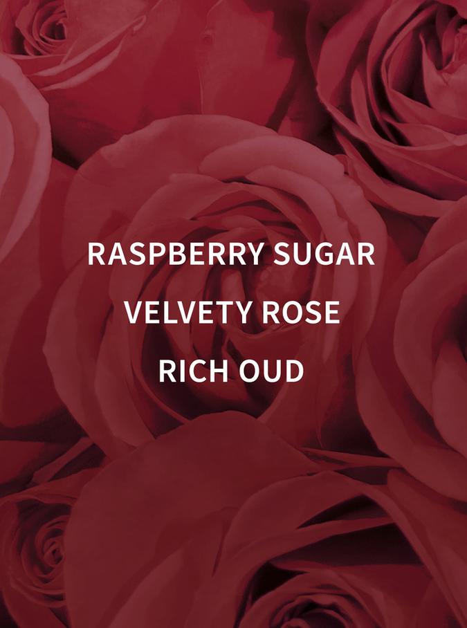 Bath & Body Works Dark Velvet Oud Travel Size Shower Gel, 88 ml / 3 fl oz