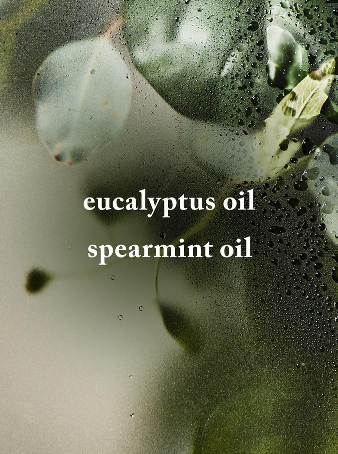 Bath & Body Works Eucalyptus Spearmint Moisturizing Body Lotion, 248 ml / 8.4 foz Buy at Indicrest Image 2