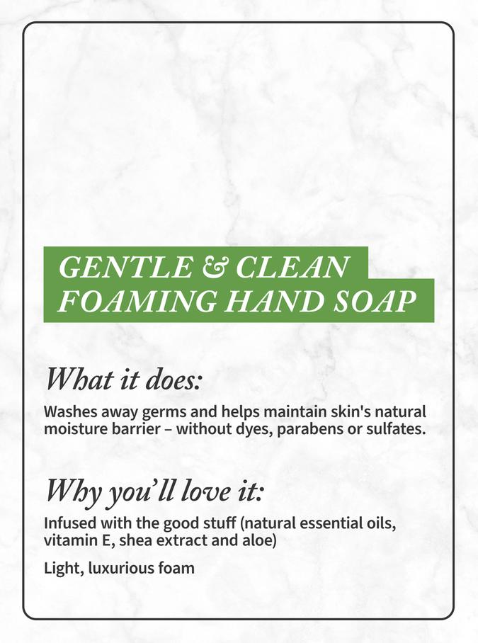 Bath & Body Works Tis The Season Gentle & Clean Foaming Hand Soap, 259 ml / 8.75 Fl oz