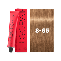 8-65 Light Blonde Chocolate Gold