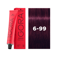 6-99 Dark Blonde Violet Extra