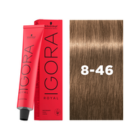 8-46 Light Blonde Beige Chocolate