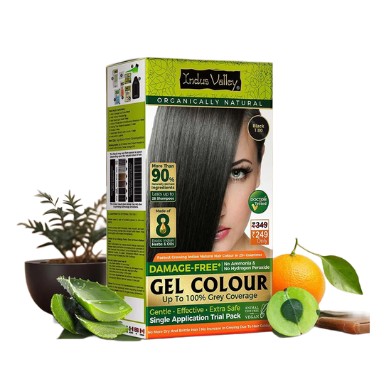 INDUS VALLEY Damage Free Natural Gel Hair Colour for Men and Women and Ammonia & PPD Free Natural and Organic Hair Colour with 100% Grey Coverage, Long Lasting Hair Color Black 1.00 – 220ml - 4 Time Application Buy at Indicrest