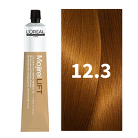 12.3 (Golden Very Light Brown)