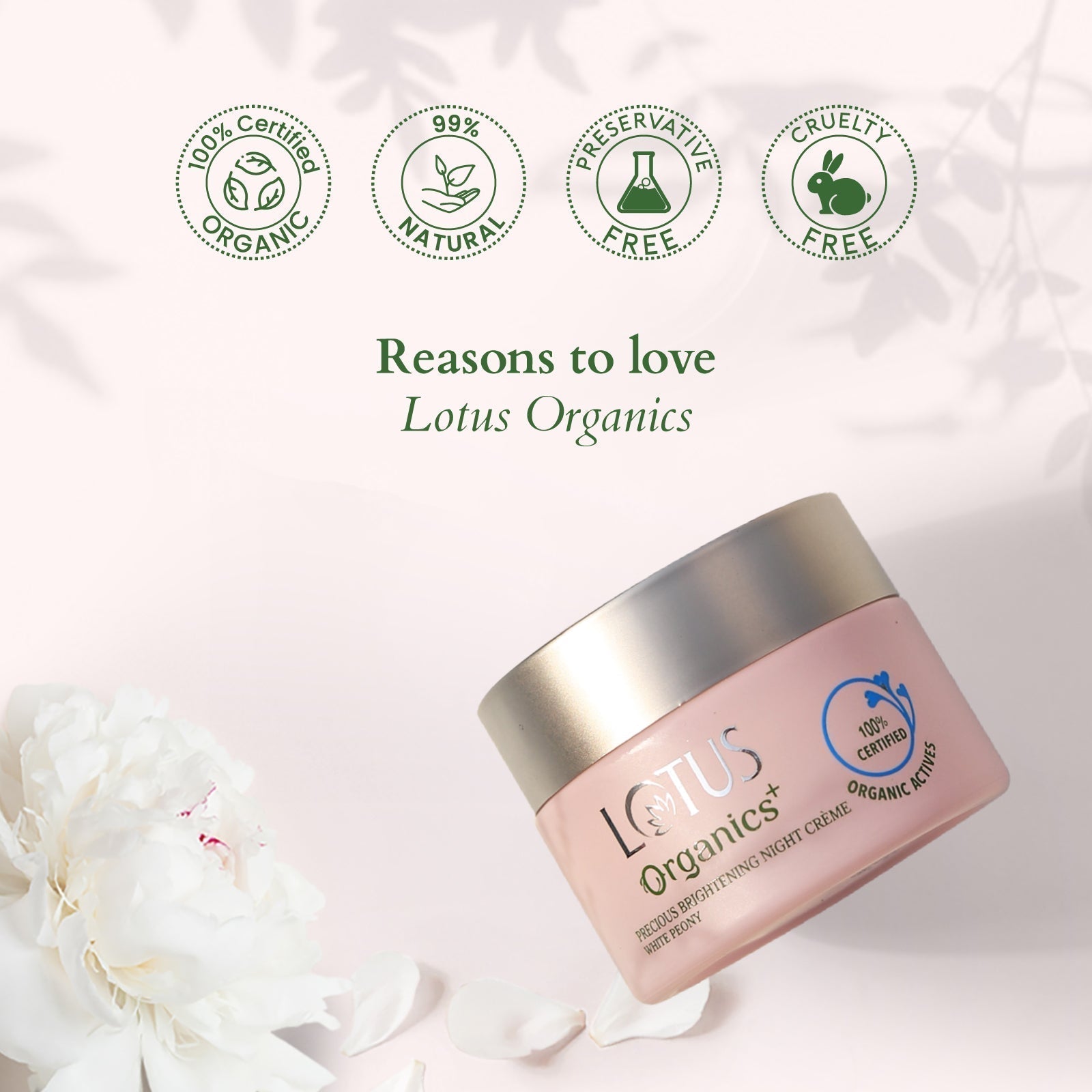 Lotus Organics+ Precious Brightening Night Creme White Peony, 30g – Hydrate & Revitalize Skin
