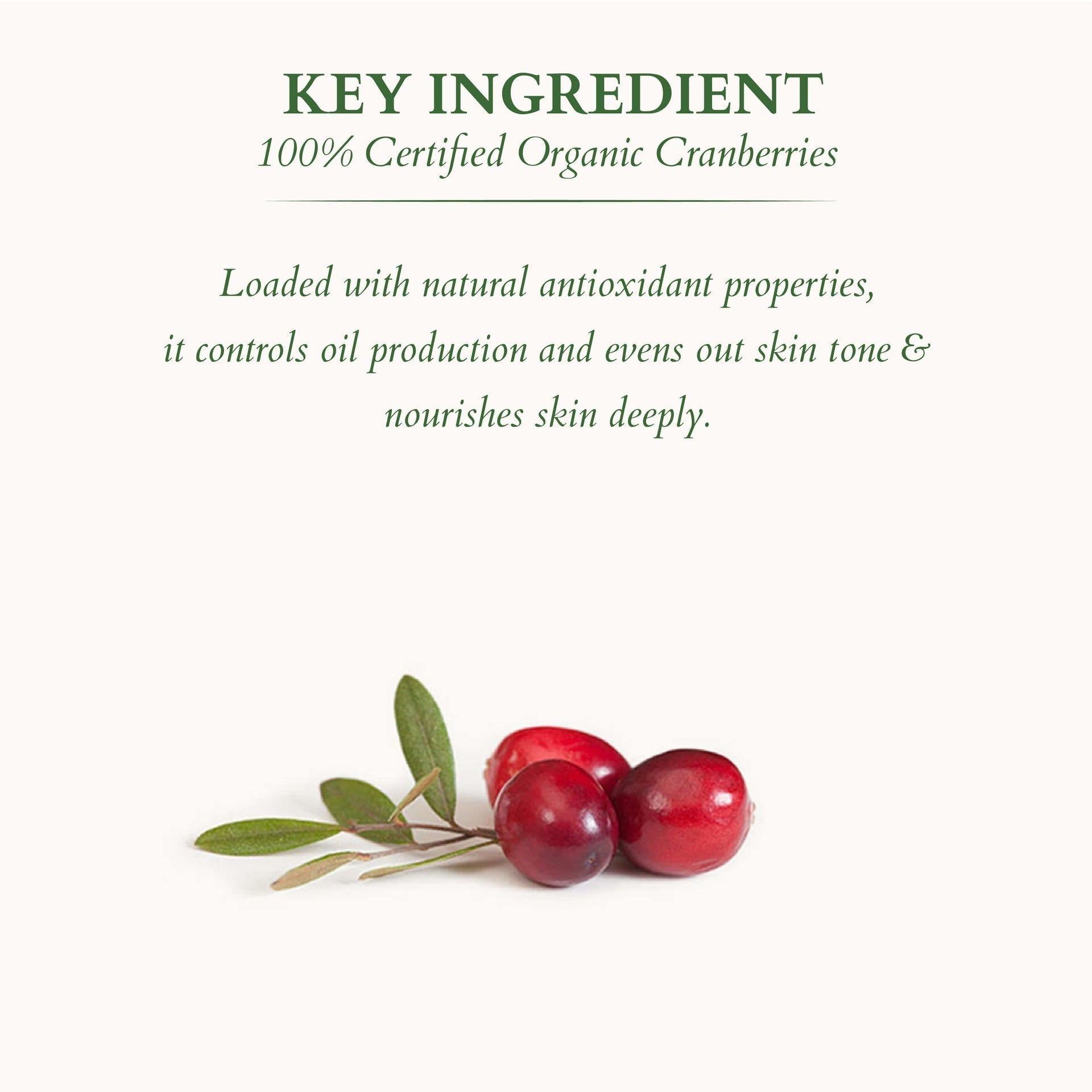 Lotus Organics Ultra Matte Mineral Sunscreen SPF 40 PA+++ (50g) | Oil-Free, Matte Finish