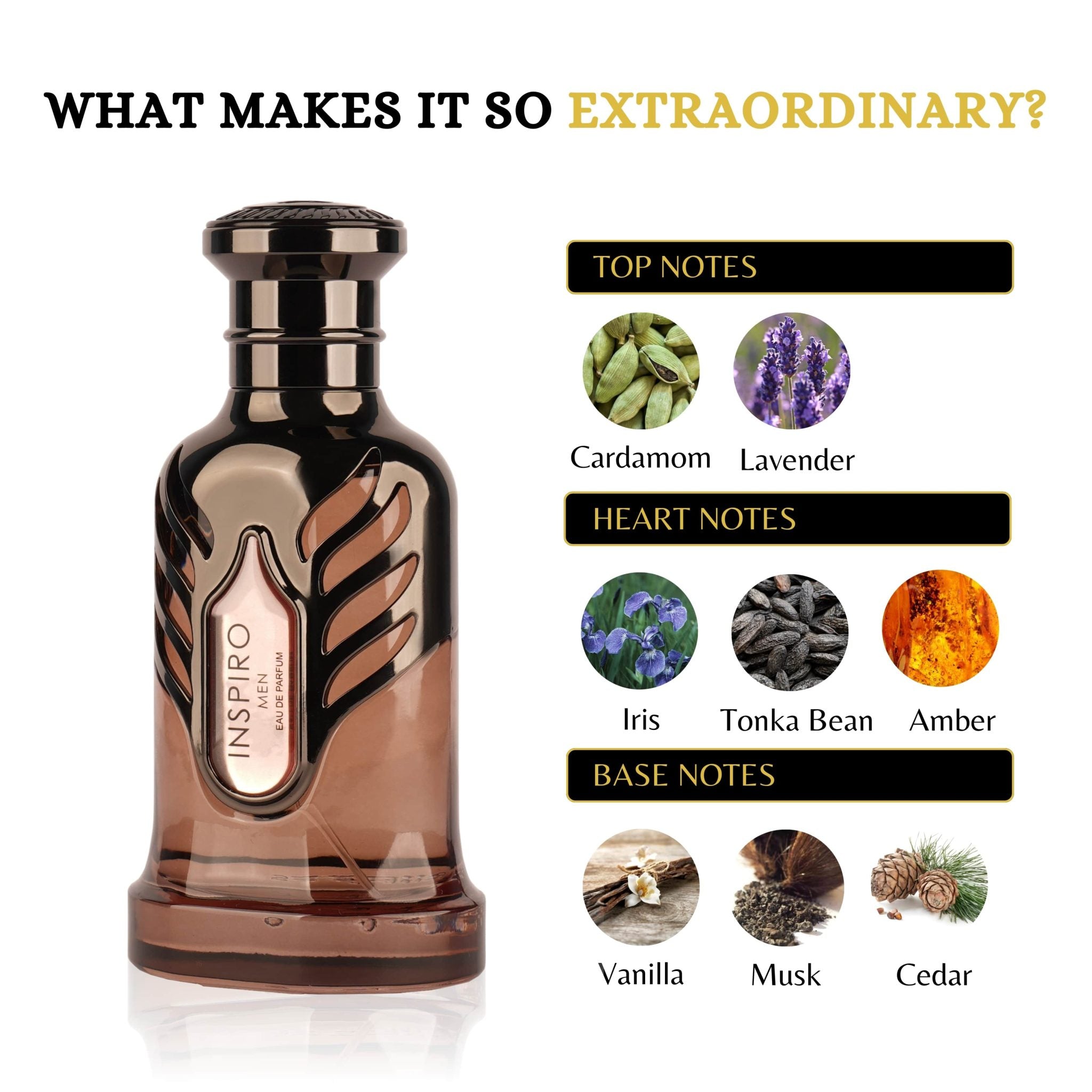 RiiFFS Inspiro Men Eau De Parfum elegant packaging Indicrest