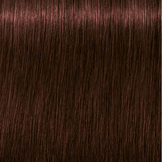Schwarzkopf Igora 4-68 chocolate red shade Indicrest
