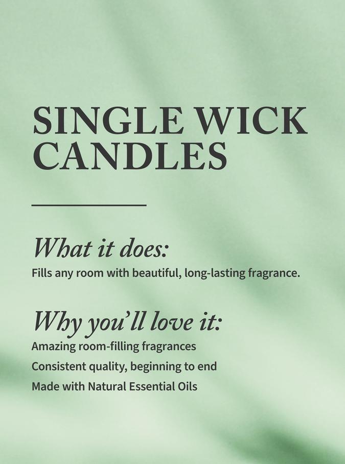 Bath & Body Works Fresh Balsam Single Wick Candle, 227 g / 8 oz Buy at Indicrest Image 2