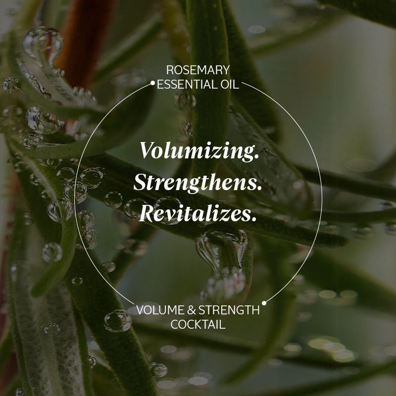 L'Occitane Volume & Strength Shampoo Refill, 500ml