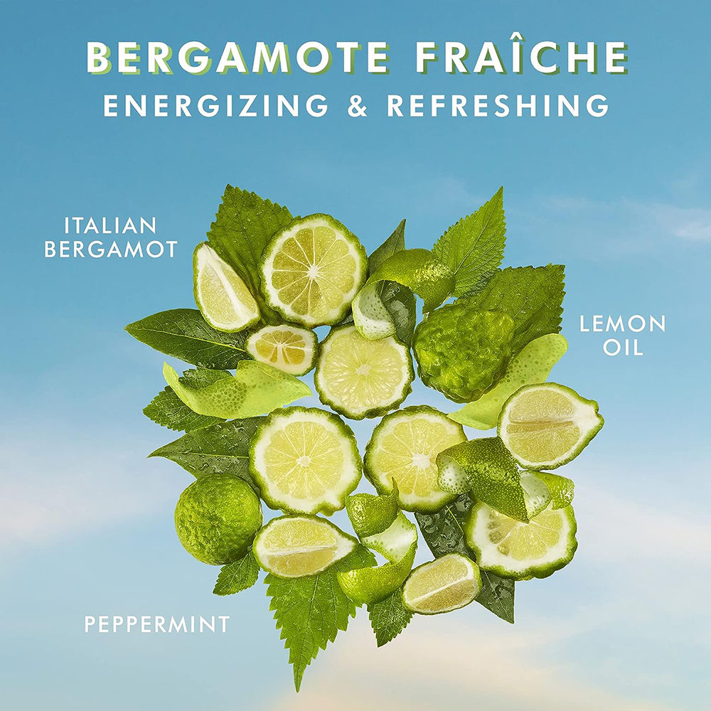 Moroccanoil Body Lotion Bergamote Fraiche | Argan & Primrose Oils | Refreshing Citrus Hydration Skin, 360ml