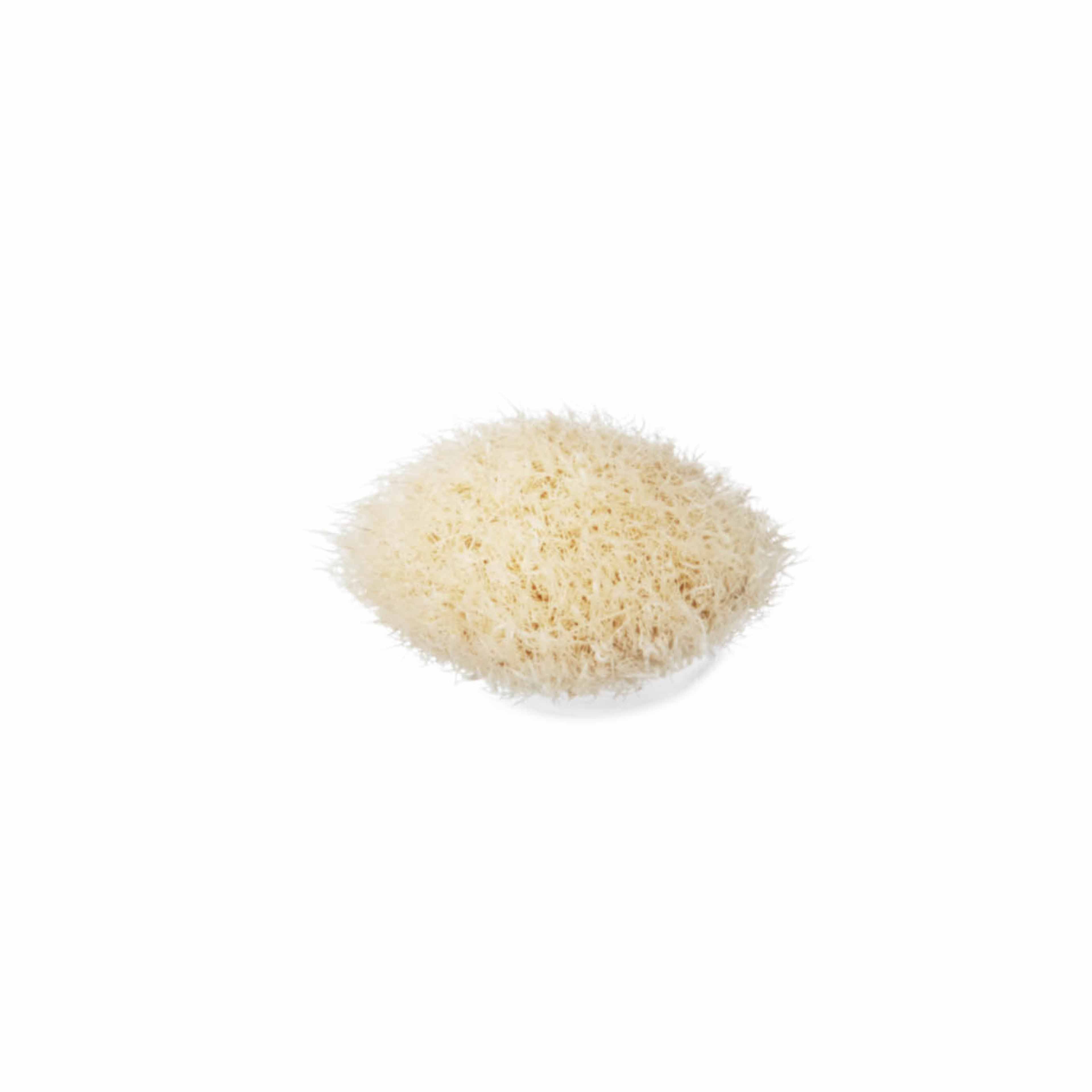 M.A.C Blending Brush - 217S Buy at Indicrest Image 2