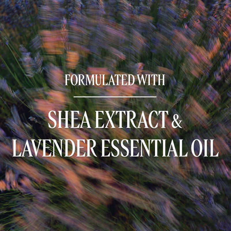 L'Occitane Shea Butter Lavender Liquid Soap, 350ml