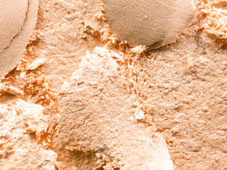 M.A.C Extra Dimension Skinfinish - Double Gleam, 9g Buy at Indicrest Image 2
