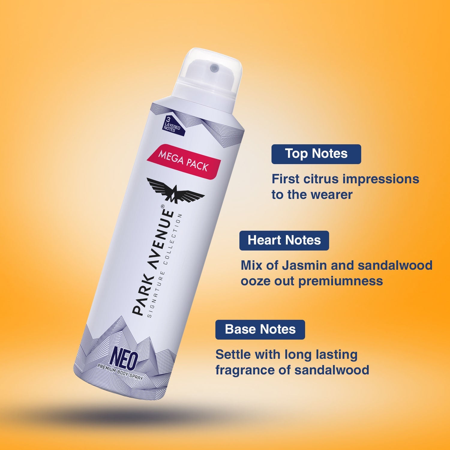 Park Avenue Mega Pack Signature Deo Neo, 167g Buy at Indicrest Image 6