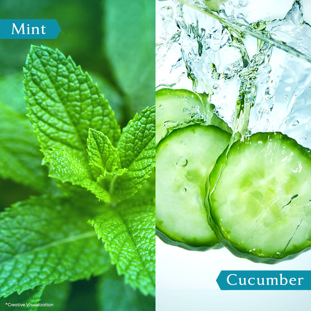 Vivel Cooling Body Wash Mint & Cucumber Moisturizing Shower Gel Supersaver Refill Pouch, 400ml Buy at Indicrest Image 5
