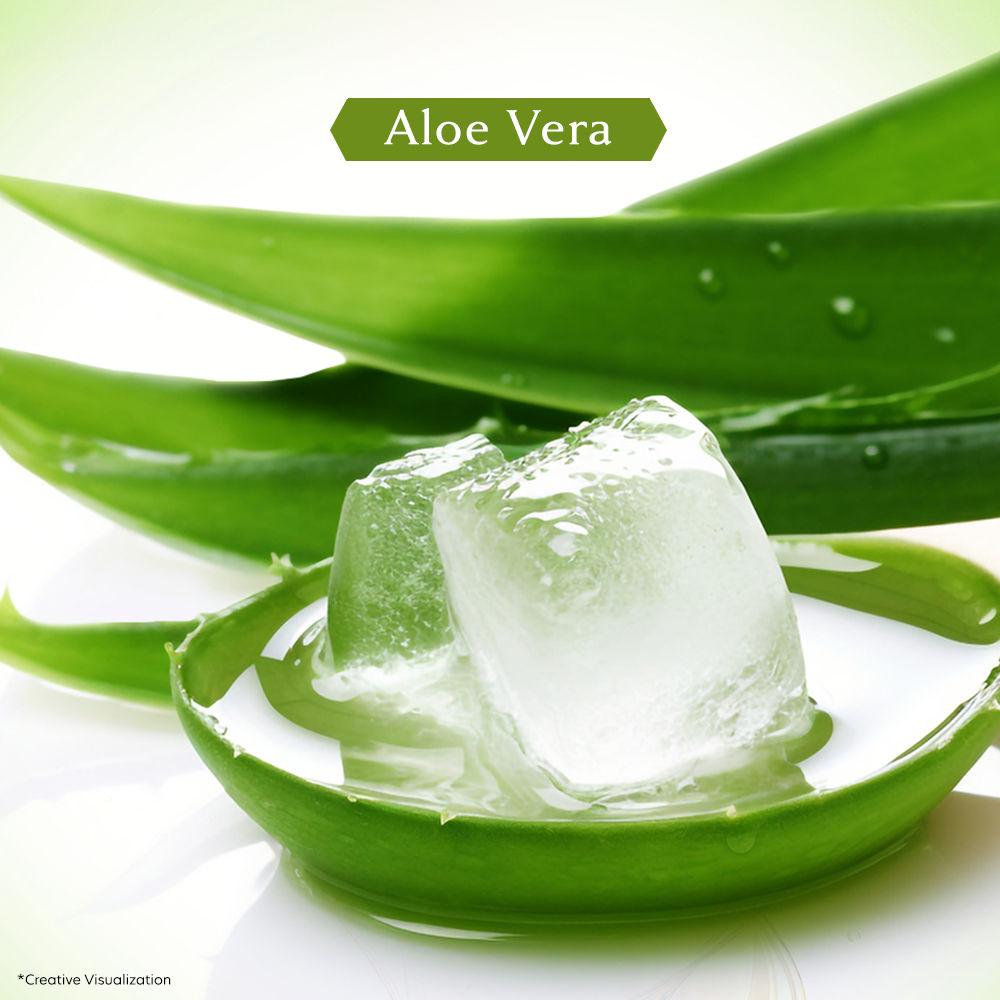 Vivel Aloe Vera Bathing Bar (Pack of 4), 600g Buy at Indicrest Image 6